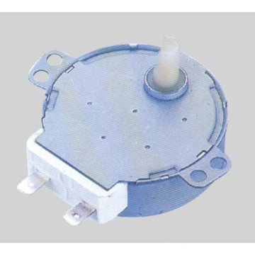 Synchronmotor (49TDY -D)